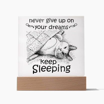 Daughter gifts - Never give up on your dreams, keep sleeping - LED Acrylic Plaque.
