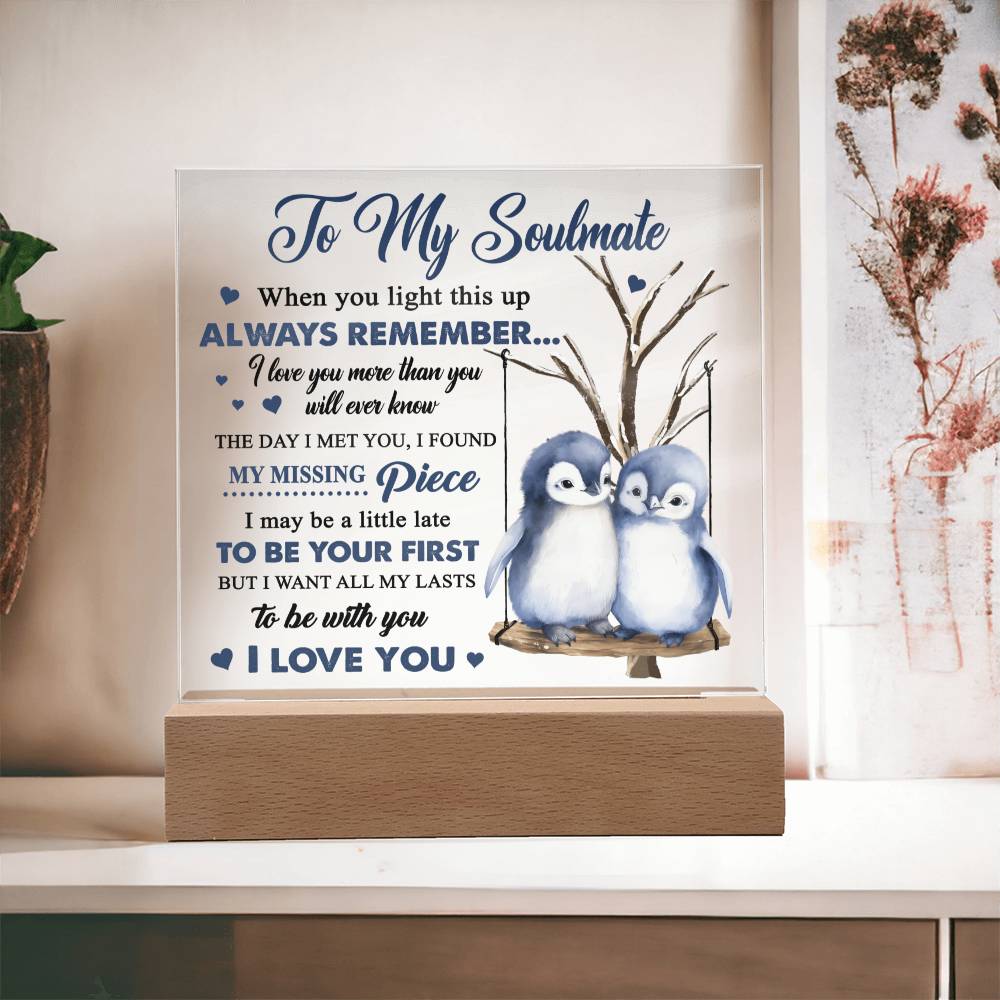 To My Soulmate - I love you more than you will ever know - LED Acrylic Plaque.
